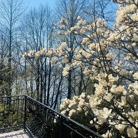 Willa Z Sauna Nad Jeziorem 61 Żywiec Exteriér fotografie